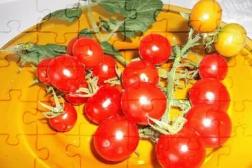 tomates