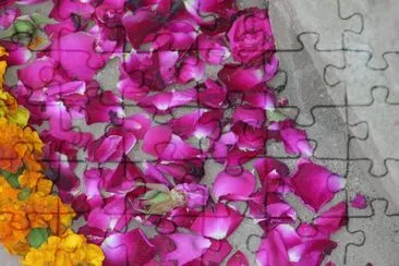 Dark pink and orange petals, Agra, India