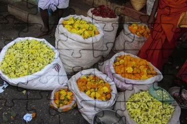 Bags of flowers, India