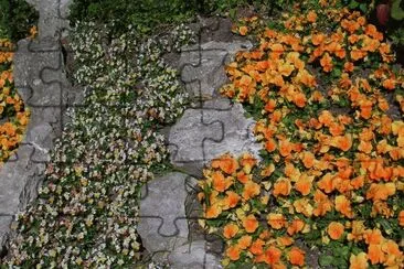 Orange and yellow flower beds, Gotland jigsaw puzzle