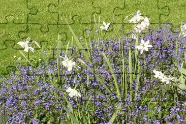 Blue and white flowers, Visby, Gotland jigsaw puzzle