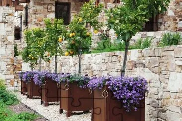 פאזל של Citrus Tree Planters with Purple Flowers