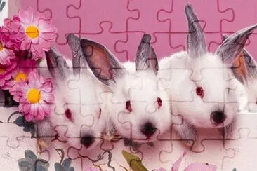 ANIMALES jigsaw puzzle