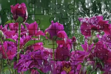 פאזל של Beautiful Flowers in the Rain