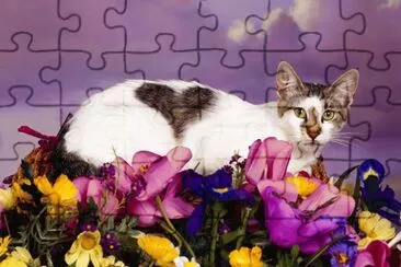 ANIMALES jigsaw puzzle