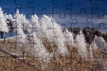 NATURALEZA jigsaw puzzle