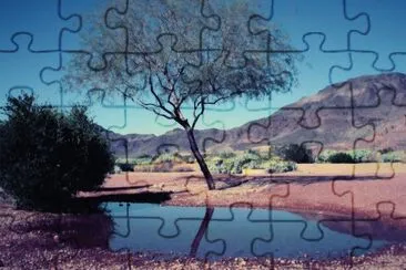 NATURALEZA jigsaw puzzle