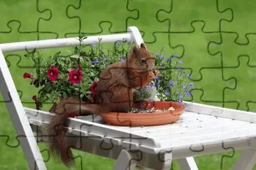 ANIMALES jigsaw puzzle