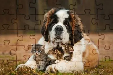 ANIMALES jigsaw puzzle