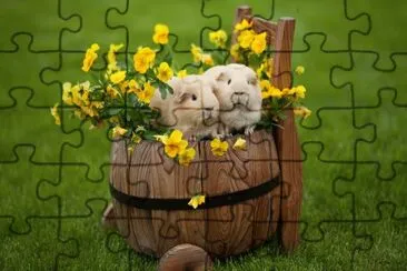 ANIMALES jigsaw puzzle