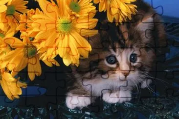 ANIMALES jigsaw puzzle