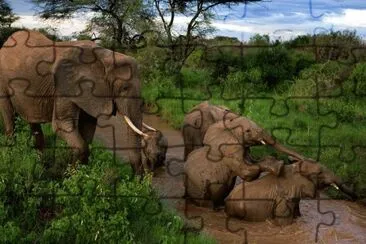 ANIMALES jigsaw puzzle