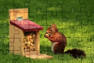 ANIMALES jigsaw puzzle