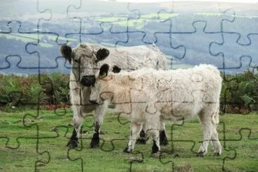 Cornovaglia jigsaw puzzle