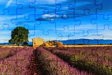 Mundo jigsaw puzzle