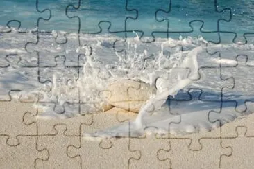 Mundo jigsaw puzzle