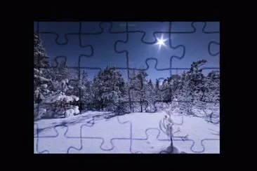 Noche de Luna desde un Bosque Nevado - Finlandia