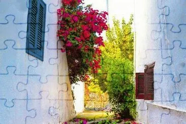 Alfombra de flores-Chipre