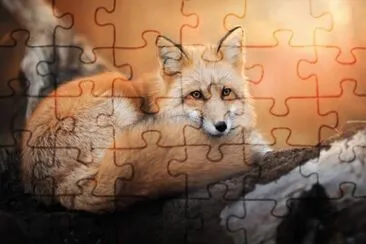 ANIMALES jigsaw puzzle