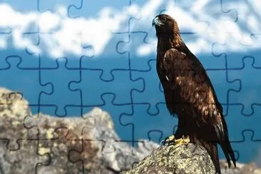 ANIMALES jigsaw puzzle