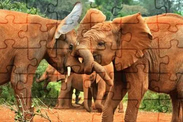 ANIMALES jigsaw puzzle