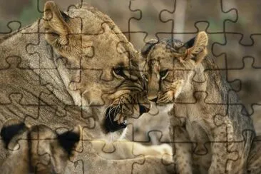 ANIMALES jigsaw puzzle