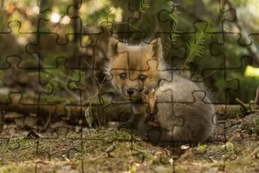 ANIMALES jigsaw puzzle