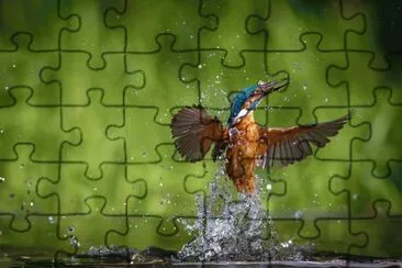 ANIMALES jigsaw puzzle