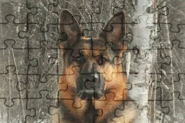 GSD jigsaw puzzle