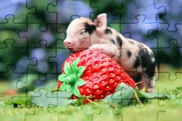 ANIMALES jigsaw puzzle