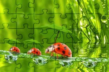 ANIMALES jigsaw puzzle