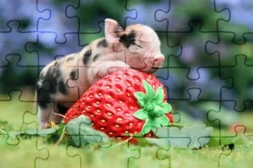 ANIMALES jigsaw puzzle