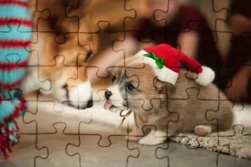 ANIMALES jigsaw puzzle