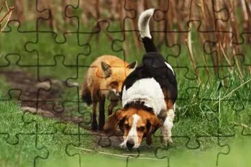 ANIMALES jigsaw puzzle