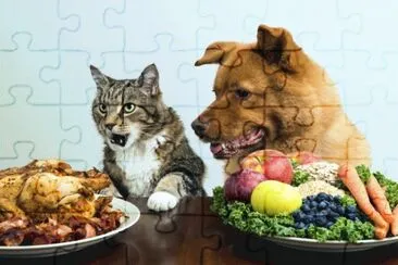 ANIMALES jigsaw puzzle