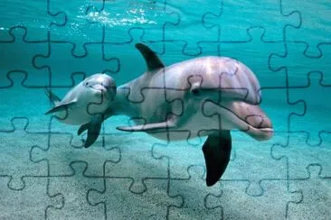 ANIMALES jigsaw puzzle