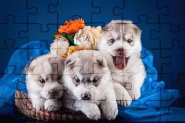 ANIMALES jigsaw puzzle