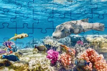 ANIMALES jigsaw puzzle