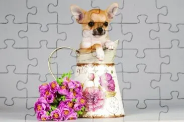 ANIMALES jigsaw puzzle