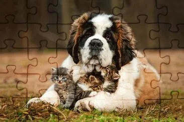 ANIMALES jigsaw puzzle