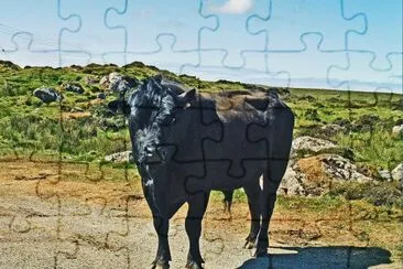 schottland jigsaw puzzle