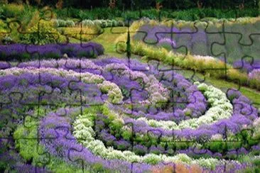 Yorkshire Lavender Gardens-UK