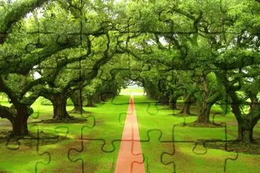 vereda jigsaw puzzle