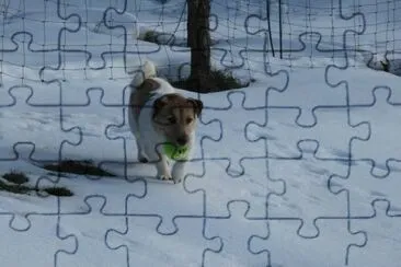 la pallina jigsaw puzzle