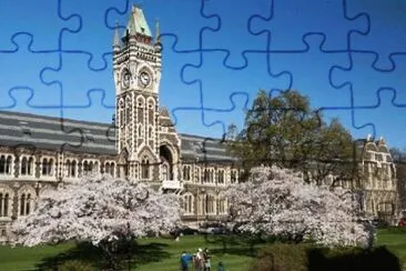 Universidad de Nueva Zelanda, NZ jigsaw puzzle