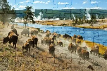 Parque Nacional Yellowstone