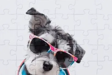 Estilo canino jigsaw puzzle