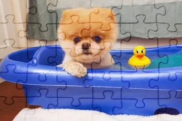 22 jigsaw puzzle