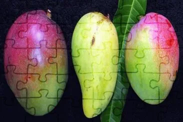 פאזל של mangos