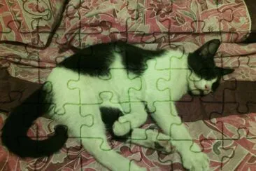 Los que gustan de las lindas imÃ¡genes jigsaw puzzle